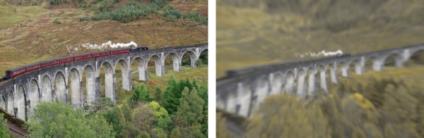 Разительная разница. Ученые показали, как видят мир люди и собаки Разительная разница. Ученые показали, как видят мир люди и собаки