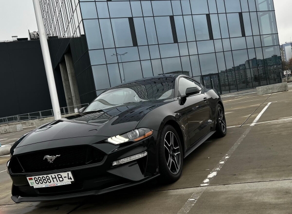 «Три года копила!» Блогер из Беларуси купила Ford Mustang, а теперь мечтает о машине в пять раз дороже «Три года копила!» Блогер из Беларуси купила Ford Mustang, а теперь мечтает о машине в пять раз дороже