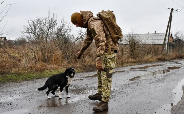 9 ЛЕТ без войны? 9 ЛЕТ без войны?