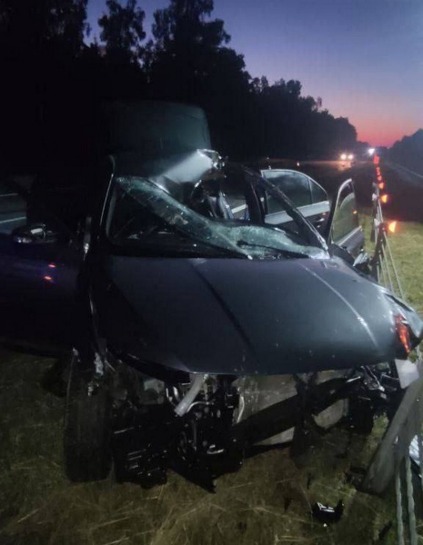 Лось спровоцировал смертельное ДТП на трассе М1 Брест – Минск – граница РФ Лось спровоцировал смертельное ДТП на трассе М1 Брест – Минск – граница РФ