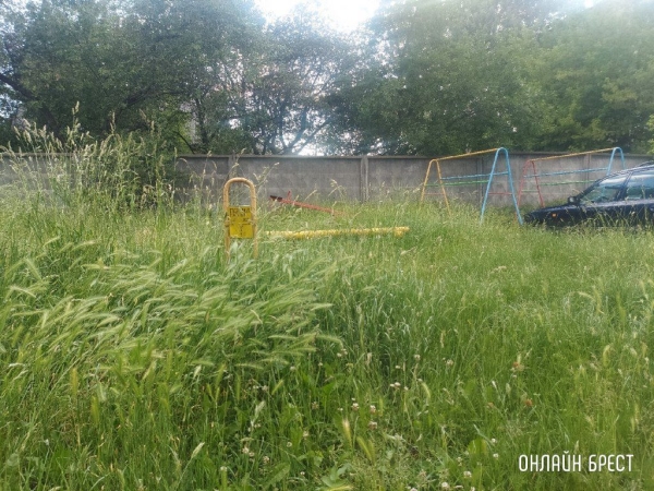 Читатель: Так выглядит детская площадка по ул.Шоссейной, 7. После прогулки во дворе, у ребёнка с одежды сняли клеща
Читатель: Так выглядит детская площадка по ул.Шоссейной, 7. После прогулки во дворе, у ребёнка с одежды сняли клеща