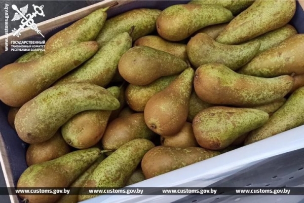 Брестские таможенники развернули грузовик с польскими грушами Брестские таможенники развернули грузовик с польскими грушами
