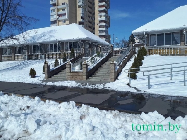 В Бресте расцвела форзиция… на снегу В Бресте расцвела форзиция… на снегу