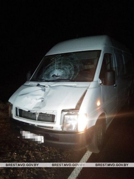 Житель Бреста насмерть сбил пешехода