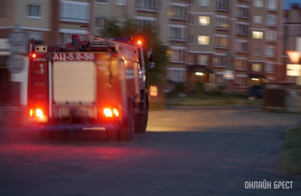 В Брестском районе на пожаре погибла 84-летняя женщина В Брестском районе на пожаре погибла 84-летняя женщина