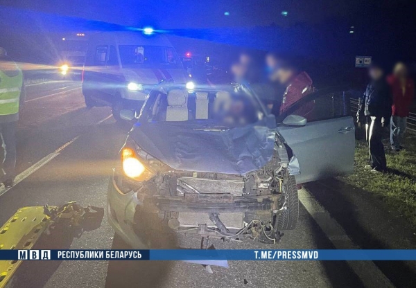 Жуткое ДТП на М1: наезд на дикое животное - погибли водитель и ребенок Жуткое ДТП на М1: наезд на дикое животное - погибли водитель и ребенок