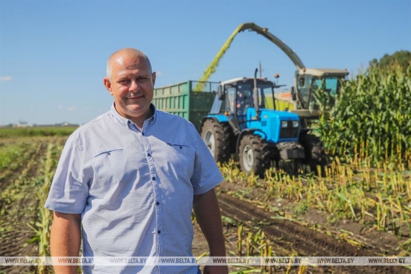 В Малоритском районе довольны урожаем кукурузы В Малоритском районе довольны урожаем кукурузы