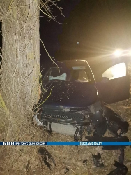 Водитель из Брестской области врезался в дерево Водитель из Брестской области врезался в дерево