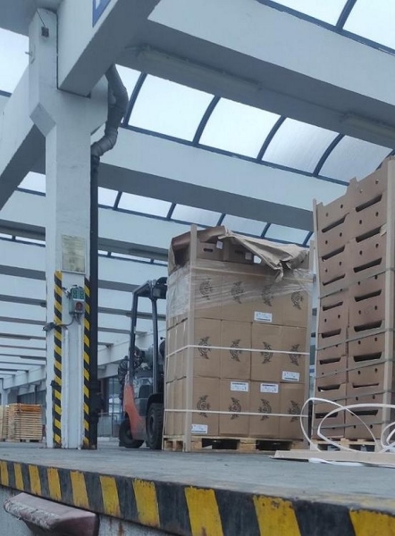 В фуре с огурцами польские таможенники нашли сигареты В фуре с огурцами польские таможенники нашли сигареты