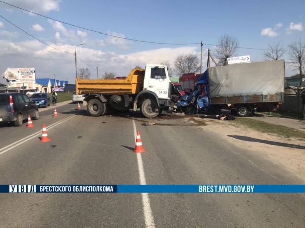 Страшное ДТП произошло в Брестской области. Погиб водитель грузового автомобиля