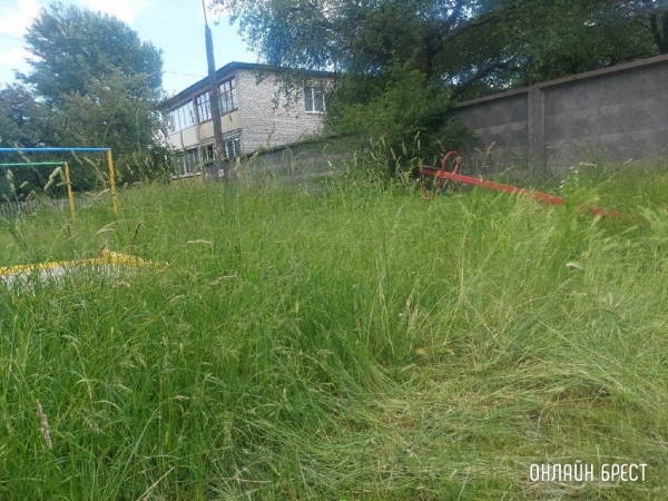 Читатель: Так выглядит детская площадка по ул.Шоссейной, 7. После прогулки во дворе, у ребёнка с одежды сняли клеща
Читатель: Так выглядит детская площадка по ул.Шоссейной, 7. После прогулки во дворе, у ребёнка с одежды сняли клеща