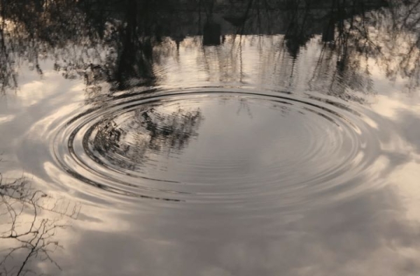 Женщина утонула в водохранилище в Ляховичском районе
