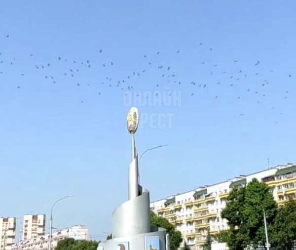 Читательница: Посмотрите, сколько аистов сегодня летело над Брестом
Читательница: Посмотрите, сколько аистов сегодня летело над Брестом