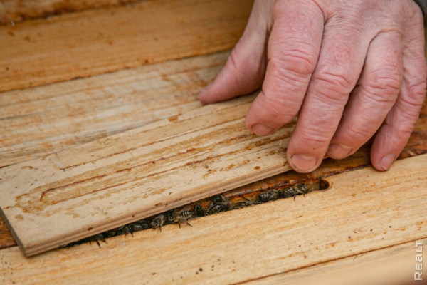 «Летом здесь гул — как на аэродроме». Семья переехала из столицы в старый дом в глухой деревне — и не жалеет «Летом здесь гул — как на аэродроме». Семья переехала из столицы в старый дом в глухой деревне — и не жалеет