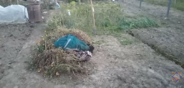 В Брестском районе мужчина получил ожоги при сжигании мусора В Брестском районе мужчина получил ожоги при сжигании мусора