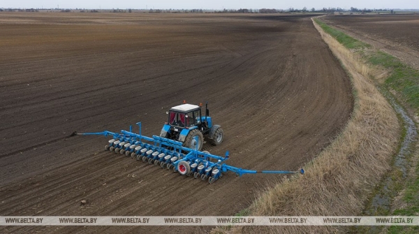 На Брестчине идёт посевная. Фотофакт На Брестчине идёт посевная. Фотофакт