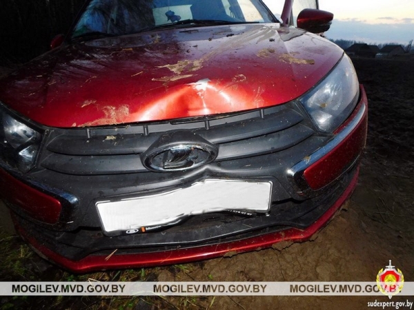 Пьяный житель Брестской области с другом угнали авто и пытались его сжечь