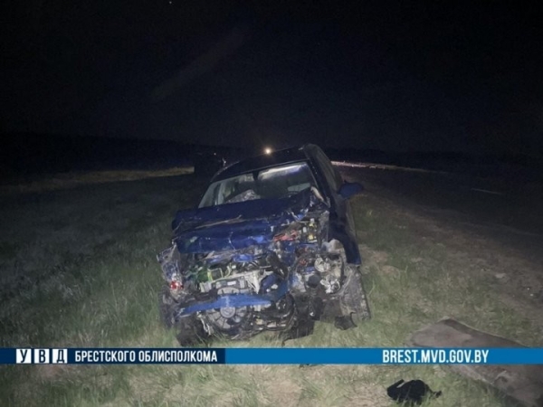 На Брестчине произошло серьёзное ДТП