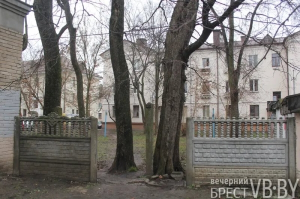 Жители домов на К.Маркса в Бресте просят привести в порядок их двор Жители домов на К.Маркса в Бресте просят привести в порядок их двор