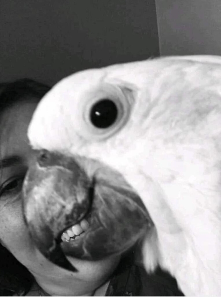 20 неоднозначных фото 20 неоднозначных фото