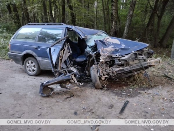 В Беларуси произошло смертельное ДТП из-за выскочившего на дорогу животного. Водитель бросила пассажирку и пошла домой В Беларуси произошло смертельное ДТП из-за выскочившего на дорогу животного. Водитель бросила пассажирку и пошла домой