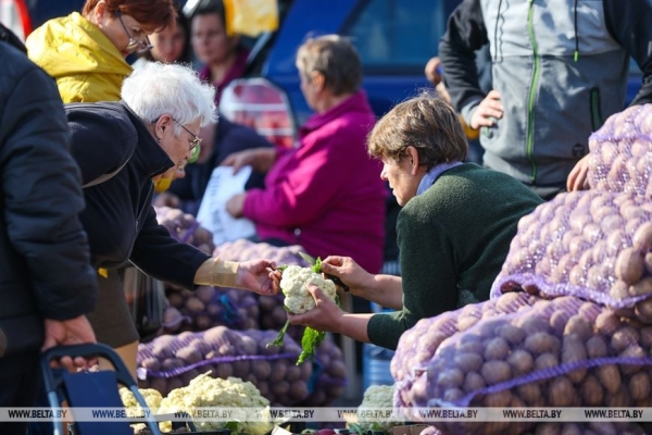 Сезон сельхозярмарок в Бресте в самом разгаре Сезон сельхозярмарок в Бресте в самом разгаре