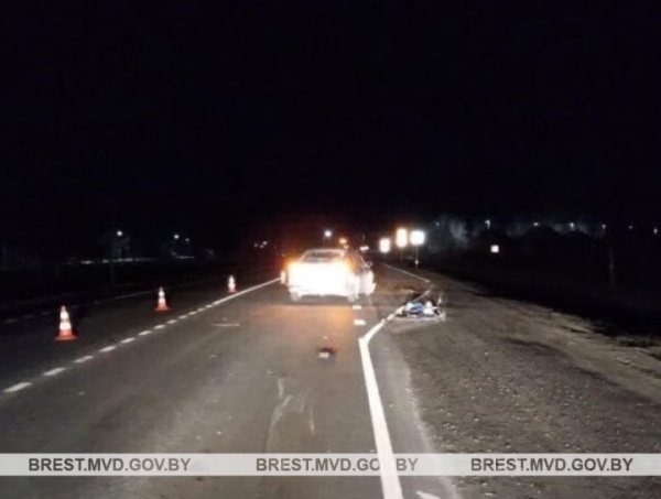 В Брестской области водитель BMW насмерть сбил человека В Брестской области водитель BMW насмерть сбил человека