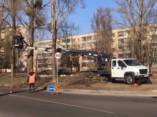 В Бресте завершаются работы по удалению и обрезке деревьев и кустарников В Бресте завершаются работы по удалению и обрезке деревьев и кустарников