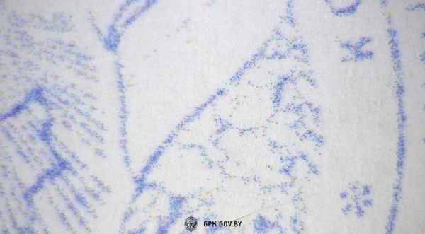 Мачеха пыталась незаконно вывезти ребенка из Беларуси Мачеха пыталась незаконно вывезти ребенка из Беларуси