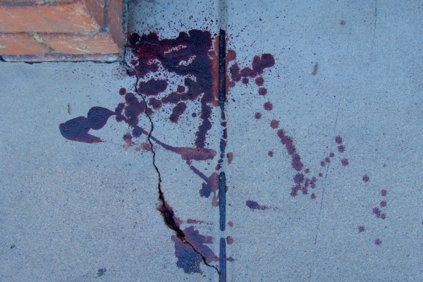 В Березе в машине нашли труп мужчины с огнестрельным ранением В Березе в машине нашли труп мужчины с огнестрельным ранением