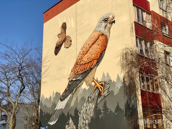 Читатель: Как красиво! Мурал с соколом-пустельгой на Набережной Франциска Скорины в Бресте
Читатель: Как красиво! Мурал с соколом-пустельгой на Набережной Франциска Скорины в Бресте