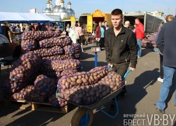 Цены и тенденции на сельхозярмарках в Бресте Цены и тенденции на сельхозярмарках в Бресте