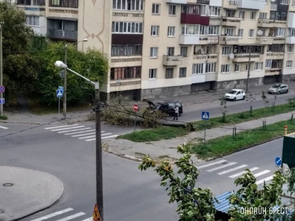 Дожди и порывистый ветер иногда преподносят всем нам «сюрпризы». ЖКХ Бреста обращается к жителям Дожди и порывистый ветер иногда преподносят всем нам «сюрпризы». ЖКХ Бреста обращается к жителям