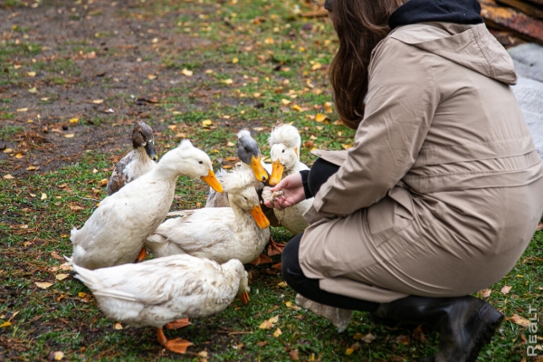 Девушка уехала из столицы в деревню в Березовском районе и нашла себе там дело — ремонтирует дом прадеда. И вот что у нее получилось Девушка уехала из столицы в деревню в Березовском районе и нашла себе там дело — ремонтирует дом прадеда. И вот что у нее получилось
