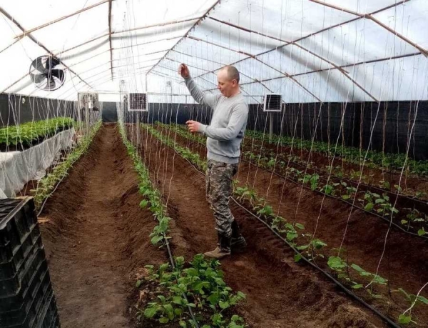 Из Бреста на усадьбу прадеда в Голенчицах приезжают работать и отдохнуть Из Бреста на усадьбу прадеда в Голенчицах приезжают работать и отдохнуть