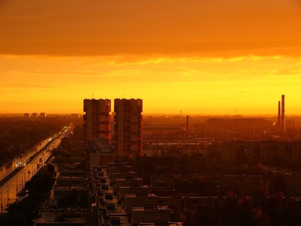 Тропики в Брестской области. Эксперт рассказал, что экстремальность климата Беларуси будет нарастать Тропики в Брестской области. Эксперт рассказал, что экстремальность климата Беларуси будет нарастать