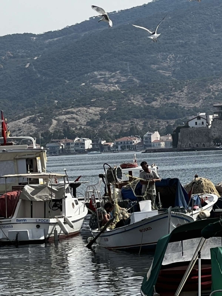 В Турцию через Европу на автомобиле. Белорусы о затратах на топливо и нюансах поездки