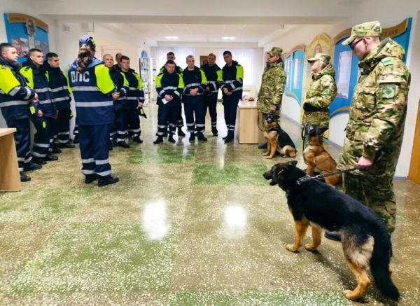 ГАИ будет проводить рейды с собаками и квадрокоптерами ГАИ будет проводить рейды с собаками и квадрокоптерами