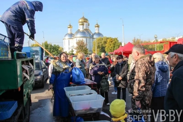 Цены и тенденции на сельхозярмарках в Бресте Цены и тенденции на сельхозярмарках в Бресте