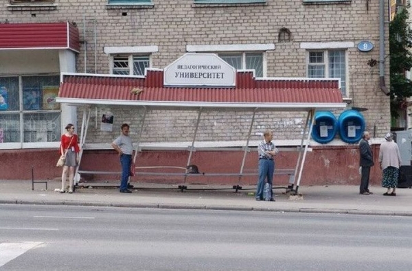 20 примеров того, что строительство не всегда подчиняется человеческой логике 20 примеров того, что строительство не всегда подчиняется человеческой логике