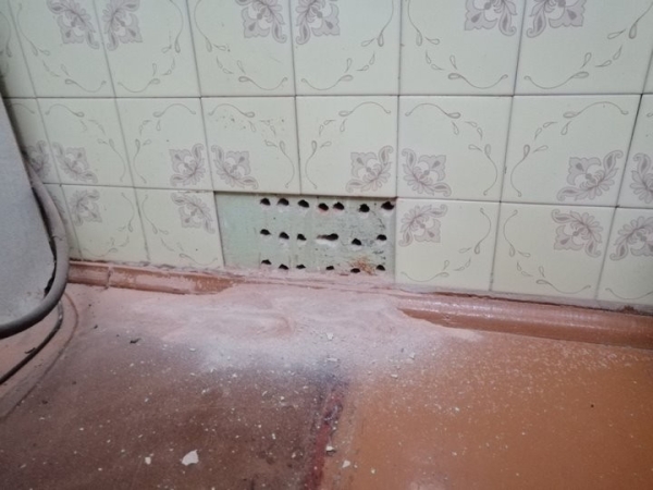 В Барановичах кошка провалилась в вентиляцию. Ее достали спасатели