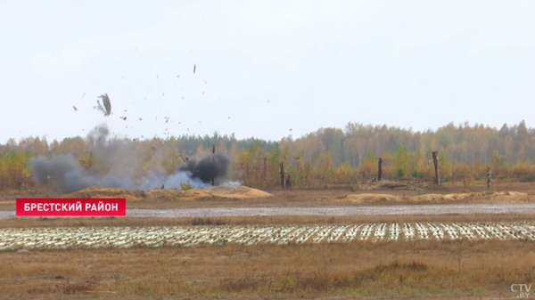 Специалисты комитета судебных экспертиз изучили взрывы разной мощности на полигоне под Брестом Специалисты комитета судебных экспертиз изучили взрывы разной мощности на полигоне под Брестом