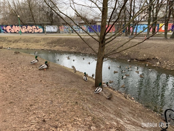 Накажут ли граффитиста за рисунки на стенах? Накажут ли граффитиста за рисунки на стенах?