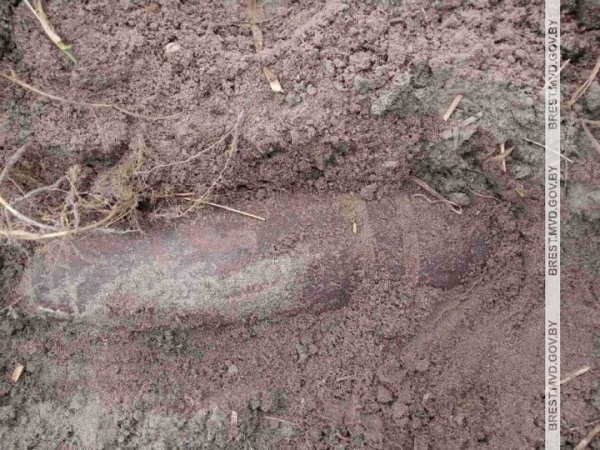 В Брестской области cельчанин обнаружил снаряд на своем участке В Брестской области cельчанин обнаружил снаряд на своем участке