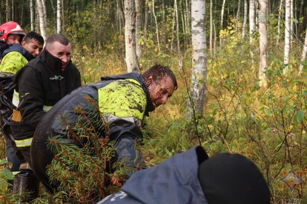 В Беларуси спасли 14 провалившихся в болото коров В Беларуси спасли 14 провалившихся в болото коров