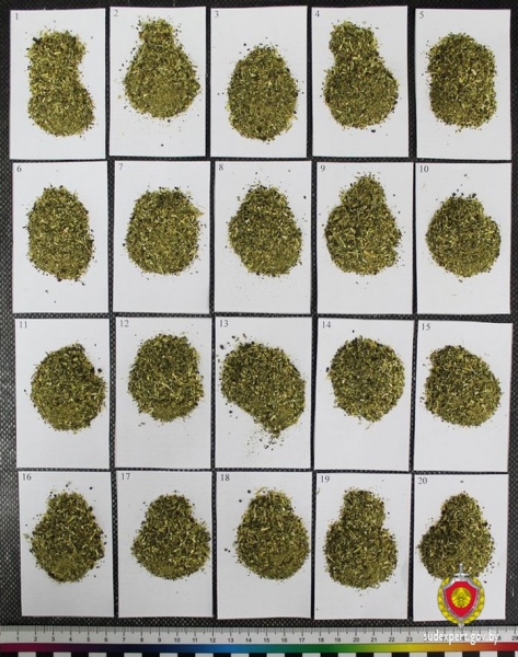 Белорус вез через границу чай Relax. Оказалось, сувениры с листиком конопли таможня изымает Белорус вез через границу чай Relax. Оказалось, сувениры с листиком конопли таможня изымает