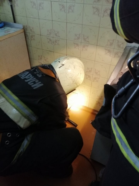 В Барановичах кошка провалилась в вентиляцию. Ее достали спасатели