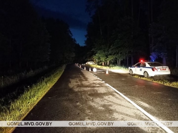 Жуткое ДТП под Гомелем: водитель не смог выбраться из огня Жуткое ДТП под Гомелем: водитель не смог выбраться из огня