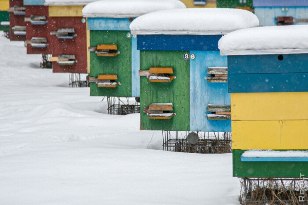 «Летом здесь гул — как на аэродроме». Семья переехала из столицы в старый дом в глухой деревне — и не жалеет «Летом здесь гул — как на аэродроме». Семья переехала из столицы в старый дом в глухой деревне — и не жалеет
