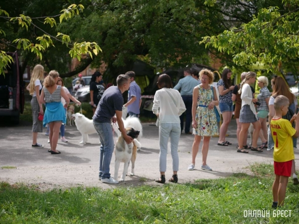 Кинолог назвал породы собак, которым не подходит жизнь в квартире